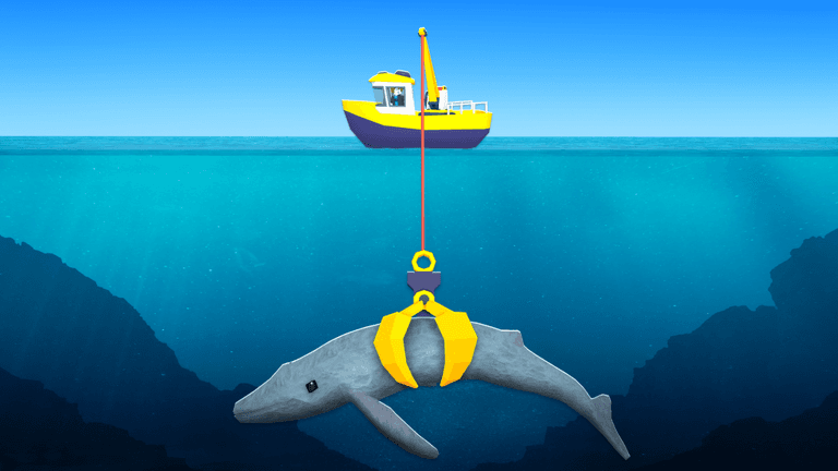 [🏗️] Claw Fishing