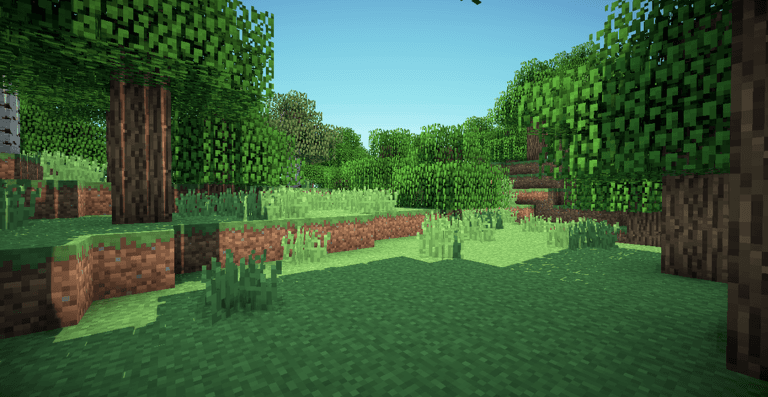 Voxels