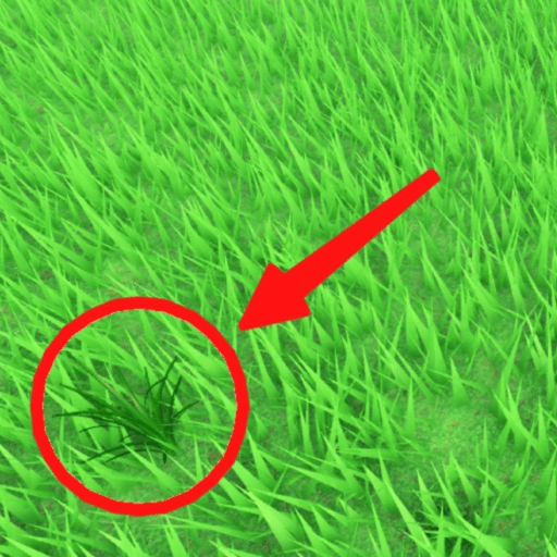 Be Grass thumbnail