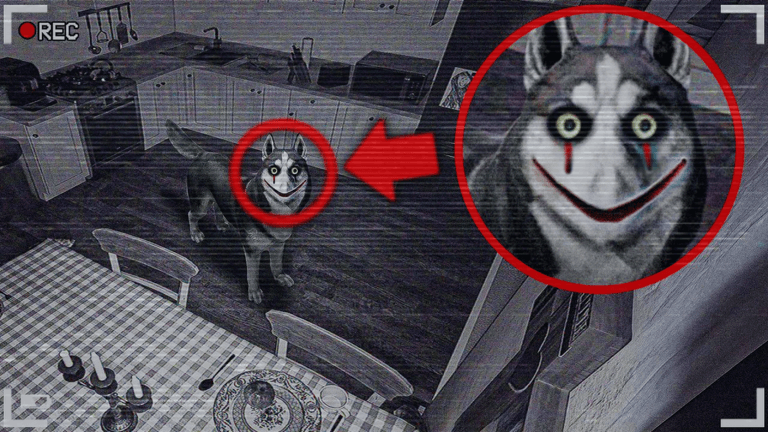 Scary Elevator😱 (Survive the Killers!)