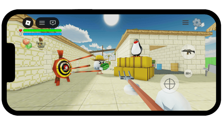 Chicken Gun R