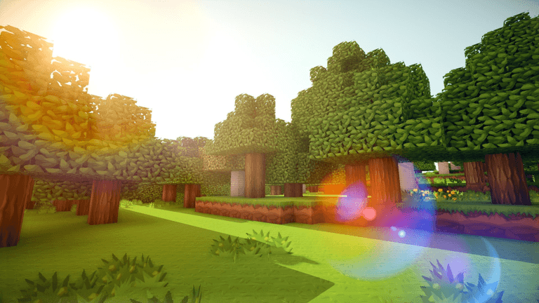 Voxels