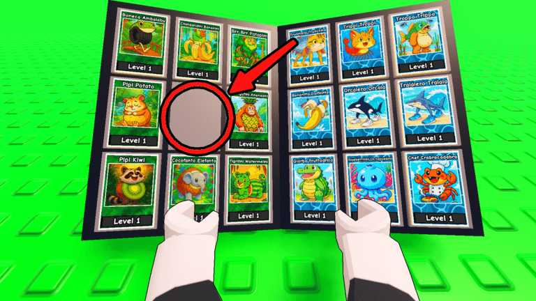 My Card Collection
