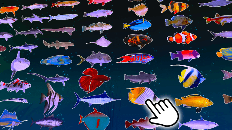 Game gallery image 2
