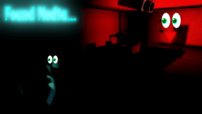 INTERMINABLE ROOMS [oh my goodness,,,,found media]